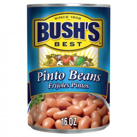 BUSHS PINTO BEANS 16 OZ