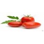 ROMA TOMATO