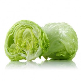 ICEBERG LETTUCE