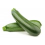 ZUCCHINI