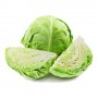 GREEN CABBAGE