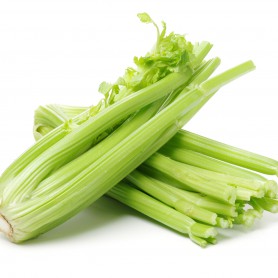 CELERY