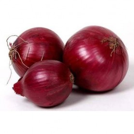 RED ONION