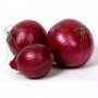 RED ONION