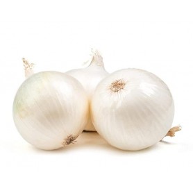 WHITE ONION