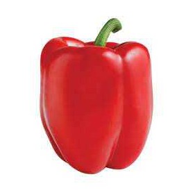 RED BELL PEPPER