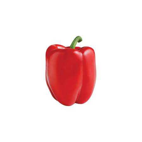 RED BELL PEPPER