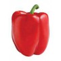 RED BELL PEPPER