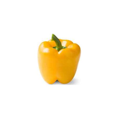 BELL PEPPER YEL