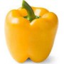 BELL PEPPER YEL