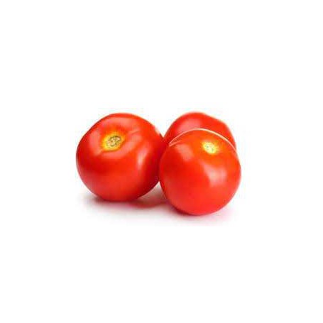 TOMATO ROUND