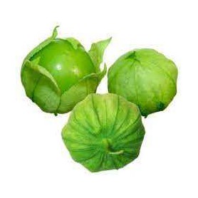 TOMATILLO