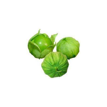 TOMATILLO