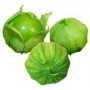 TOMATILLO