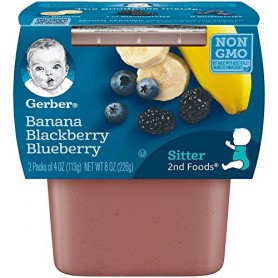 GERBER 2ND BAN/MIXBRY 4 OZ 2 PK