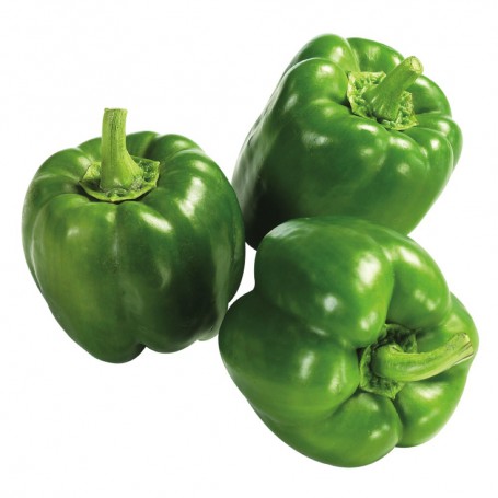 BELL PEPPER GREEN