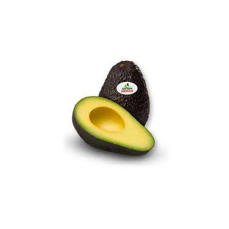 AVOCADO SMALL