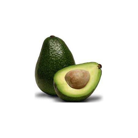 AVOCADO LARGE