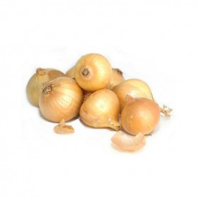 Harvest Crisp Yellow Onions(5LB)