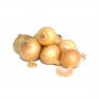 Harvest Crisp Yellow Onions(5LB)