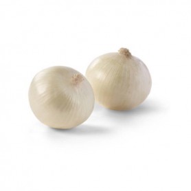 Harvest Crisp White Onions (2LB)