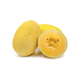 MELON, Hami