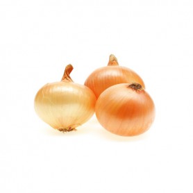 ONIONS, Yellow/Brown