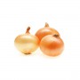 ONIONS, Yellow/Brown