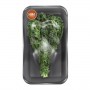 KALE