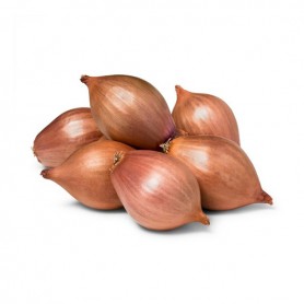 ONIONS, Shallots