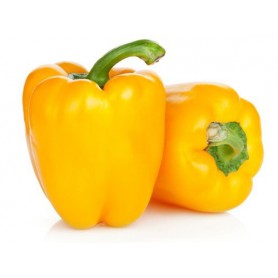 PEPPERS (CAPSICUMS), Bell, Field Grown