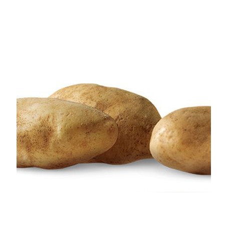 Green Giant Potatoes Idaho(10LB)