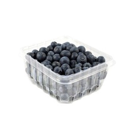 Unknown BLUEBERRY CL DRS