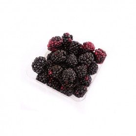 Mainland Blackberries