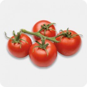 Del Cabo Organic Grape Tomatoes