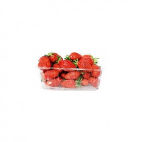 Gem Pack Strawberries(16OZ)