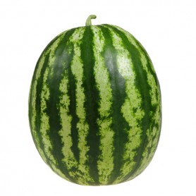 Grexican Watermelon(1PK)