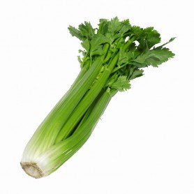 Dole Celery