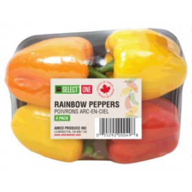 Select One Rainbow Bell Pepper(4PK)