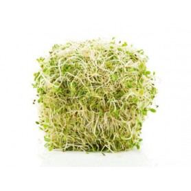 River Valley Sprouts Clover & Radish Sprouts (5OZ)