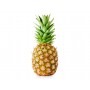 D1 PINEAPPLES