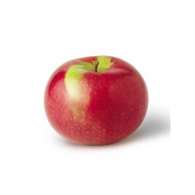 APPLES, New York 1