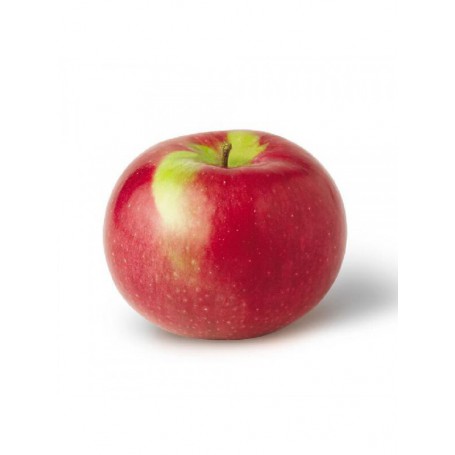 APPLES, New York 1