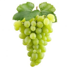 Grapes, IFG Novelty Green Seedless