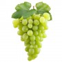 Grapes, IFG Novelty Green Seedless