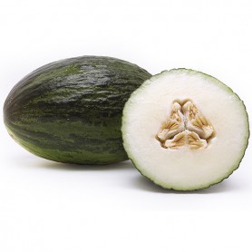 MELON, Santa Claus