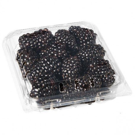 Blackberries(6OZ)