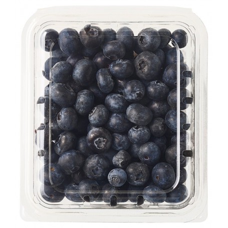BLUEBERRY 11OZ CHR