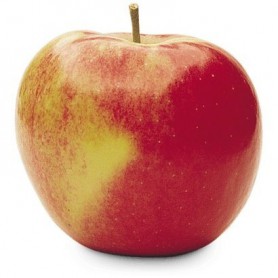 CMI Orchards Fuji Apples
