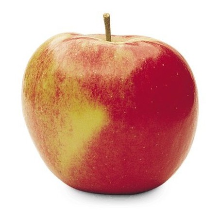 CMI Orchards Fuji Apples
